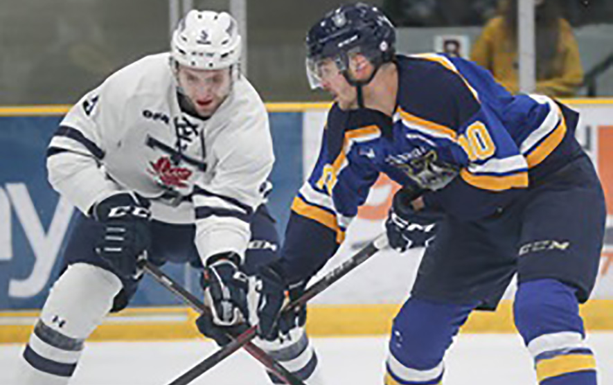 Lakehead Junior Hockey League, Ice Hockey Wiki